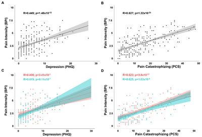 Biological sex influences psychological aspects of the biopsychosocial model related to chronic pain intensity and interference among South Korean patients with chronic secondary musculoskeletal pain in rheumatic diseases